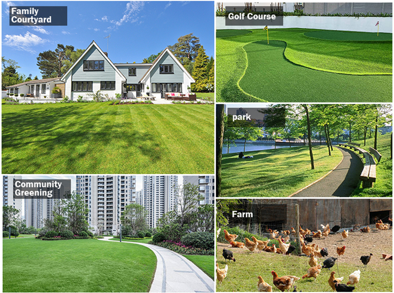 Automated Lawn Mower.jpg Automated Lawn Mower.jpg