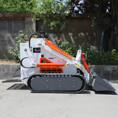 En büyük skid steer