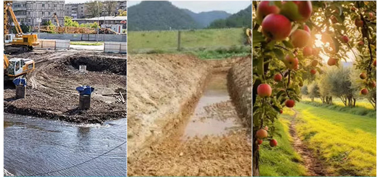 Precio del skidsteer Precio del skidsteer